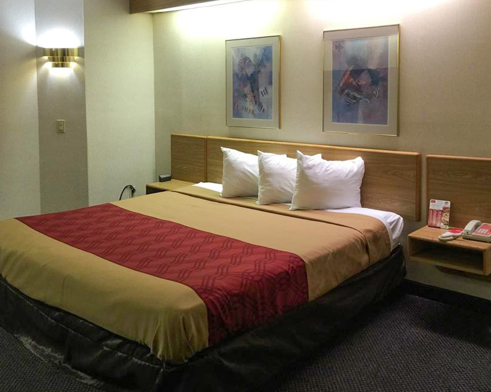 Lodge Econo